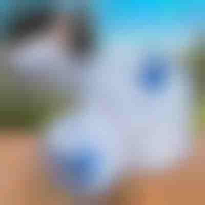 Összecsukható víztartály (10L) | AQUATANK