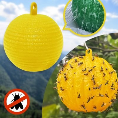 6 darabos függőleges légycsapda | BUGIORB