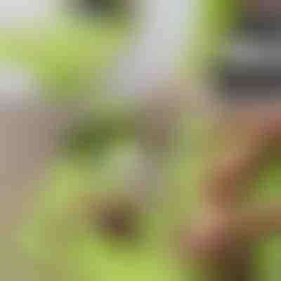 Vágódeszka levehető edénnyel 2 az 1-ben | CHOPPINATA