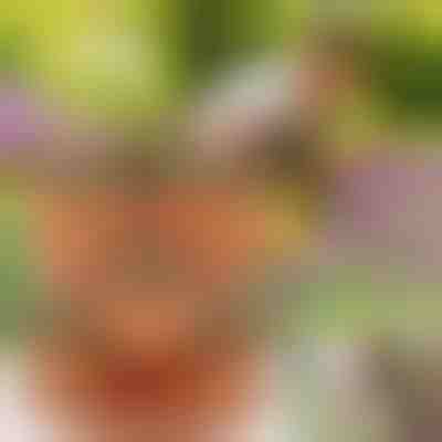 Egymásra illeszthető virágcserepek | PLANTUP