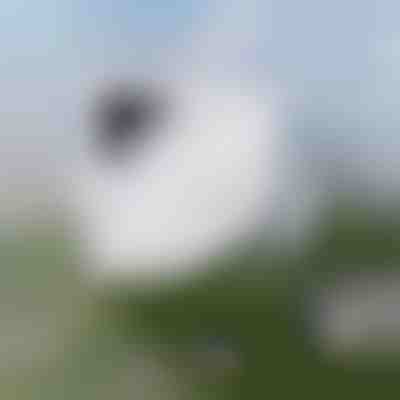 Erőfeszítés nélküli ablakpucolás | WINDOWSWIPE