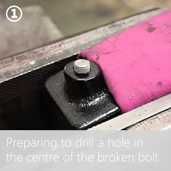 SCREWX-3831127614508-EN-4__190825