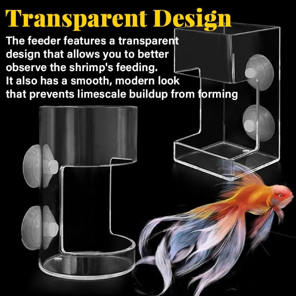 FINTROL-3831127617336-EN-3__170925