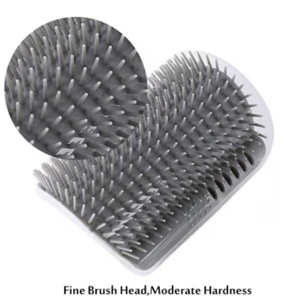 CATGROOM-3831127643348-EN-1__210326